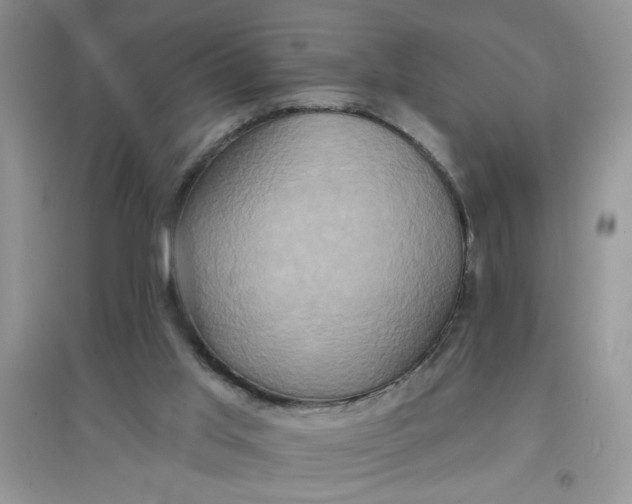 X0000097630013200803142034