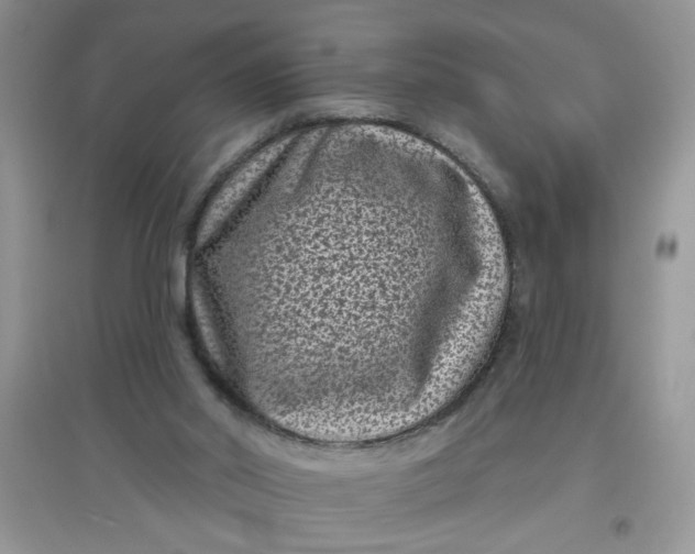 X0000097630014200803142034