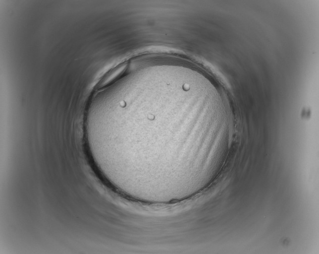 X0000097630015200803142034