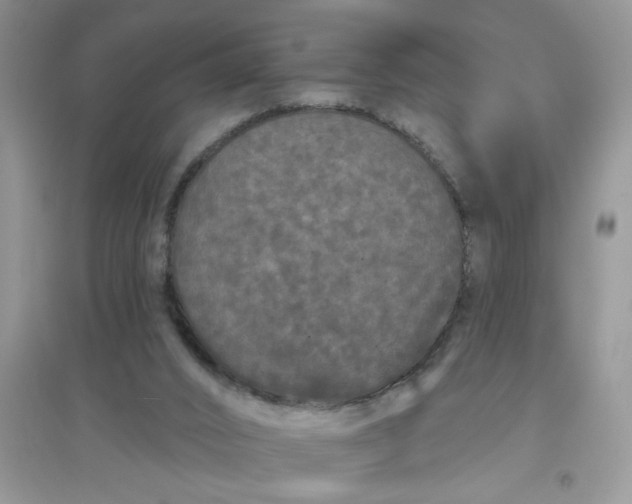 X0000097630016200803142034