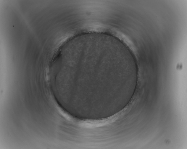 X0000097630017200803142034