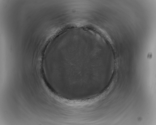 X0000097630018200803142034