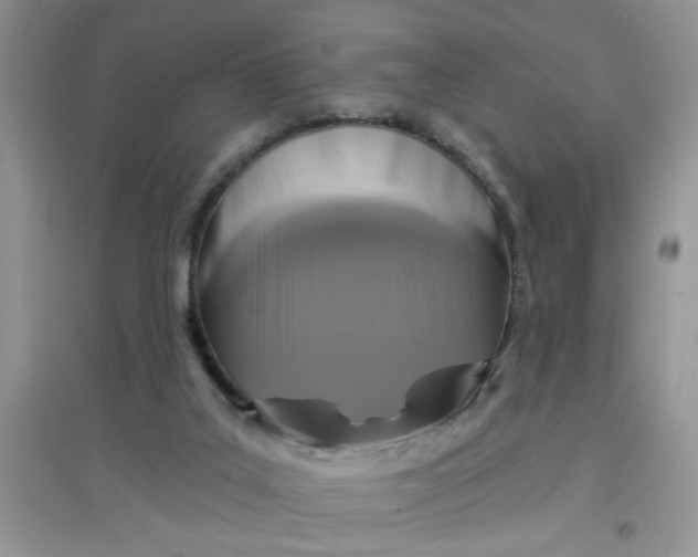 X0000097630019200803142034