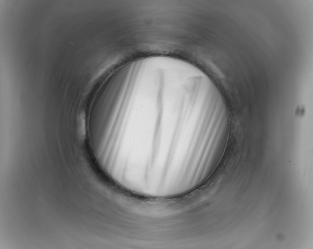 X0000097630020200803142034