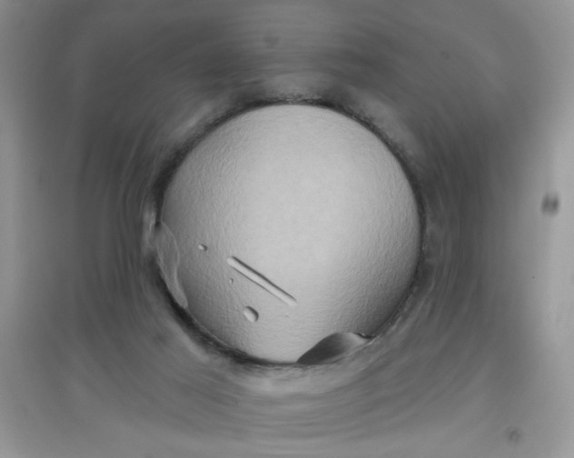 X0000097630021200803142034