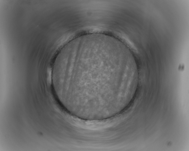 X0000097630022200803142034