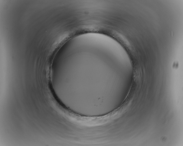 X0000097630023200803142034