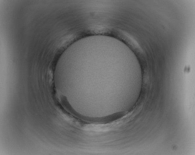 X0000097630025200803142034