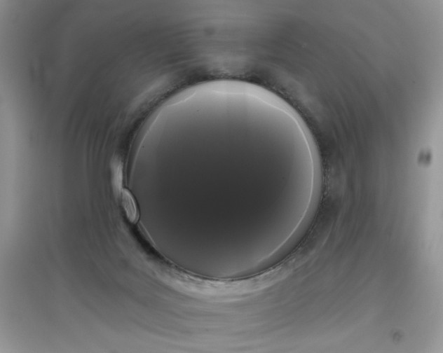 X0000097630027200803142034