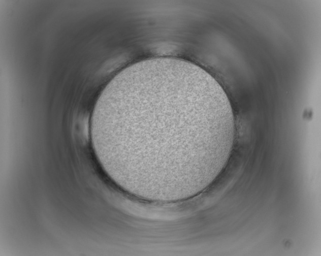 X0000097630028200803142034