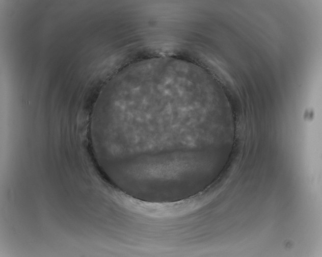 X0000097630030200803142034