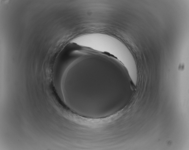 X0000097630031200803142034