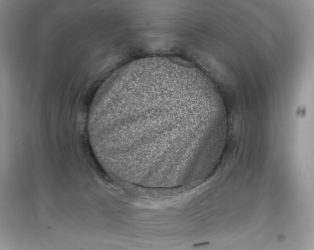 X0000097630033200803142034