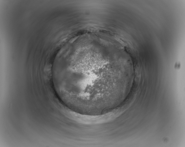 X0000097630034200803142034