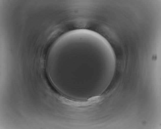 X0000097630035200803142034