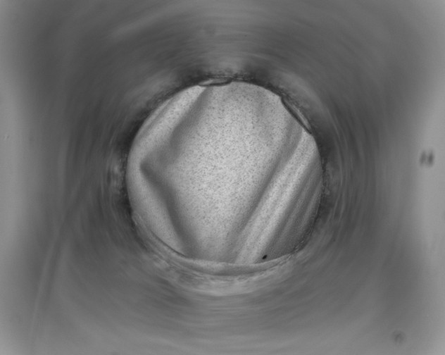 X0000097630037200803142034