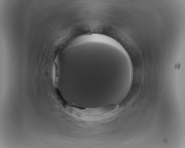 X0000097630039200803142034