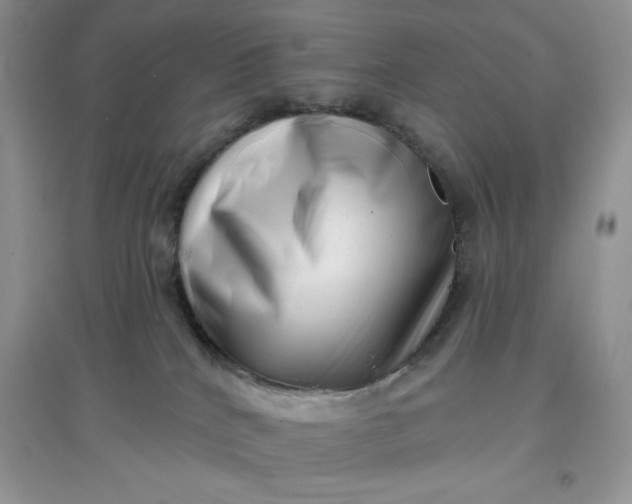 X0000097630040200803142034