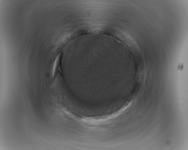 X0000097630041200803142034