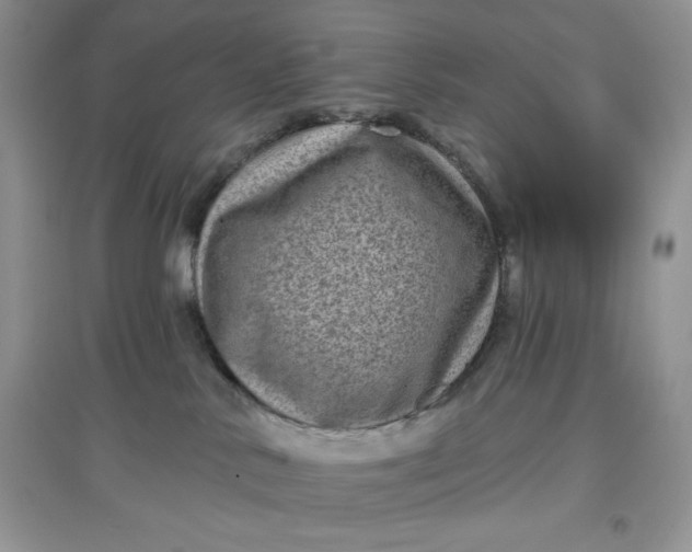 X0000097630042200803142034