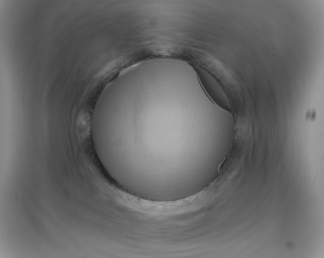 X0000097630043200803142034