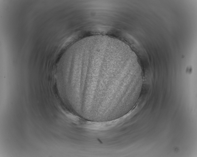 X0000097630045200803142034