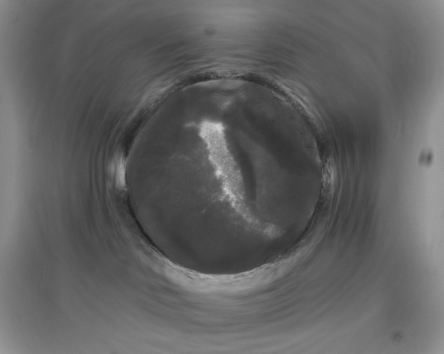 X0000097630046200803142034