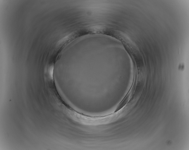 X0000097630047200803142034