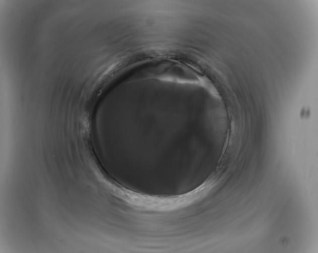 X0000097630048200803142034