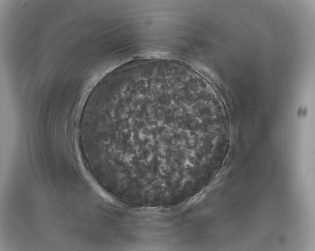 X0000097630049200803142033