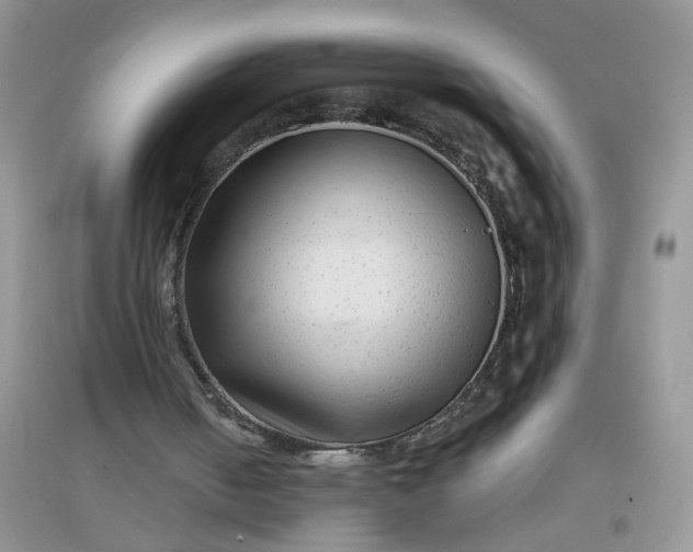 X0000097630050200803142033