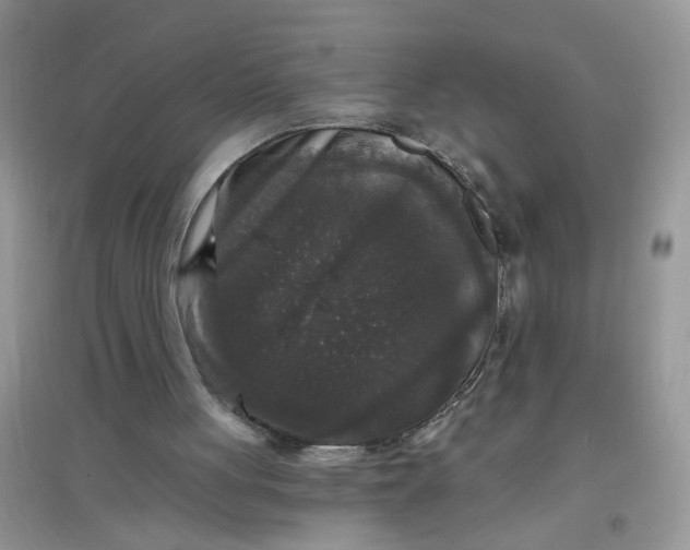 X0000097630051200803142033