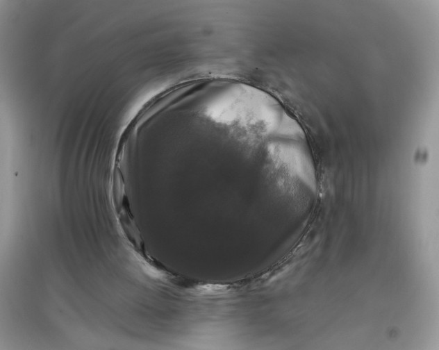 X0000097630052200803142033