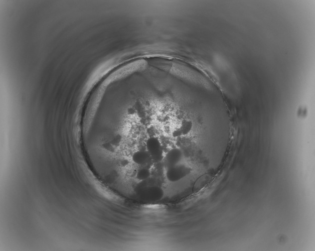 X0000097630053200803142033