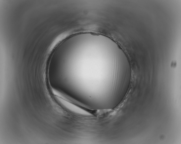 X0000097630054200803142033