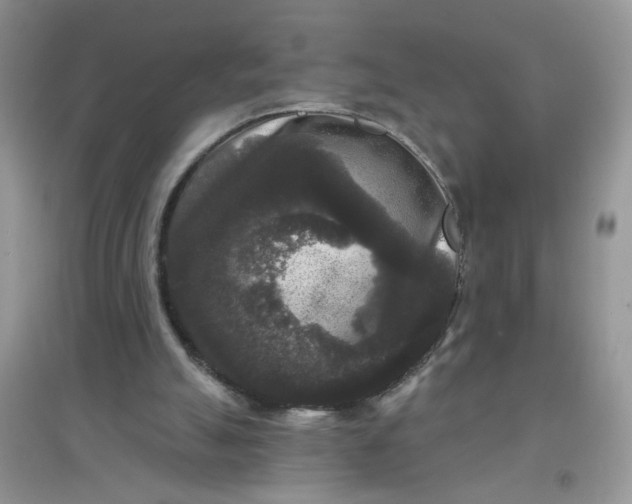 X0000097630055200803142033