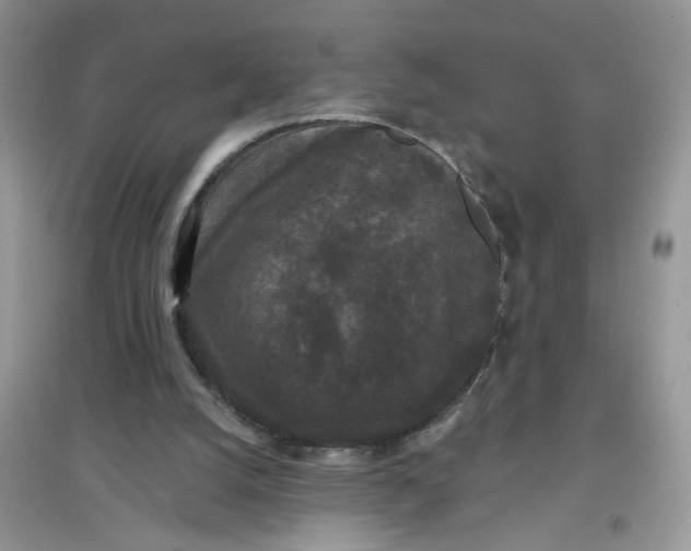 X0000097630056200803142033