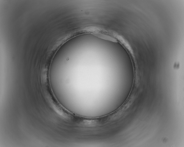 X0000097630057200803142033