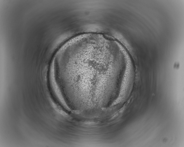 X0000097630058200803142033