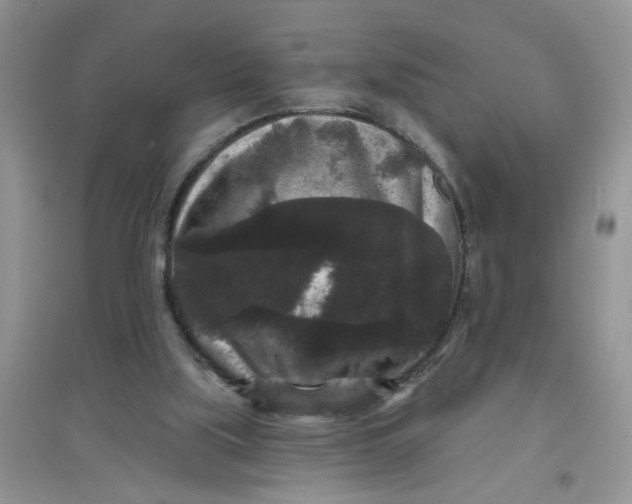 X0000097630059200803142033