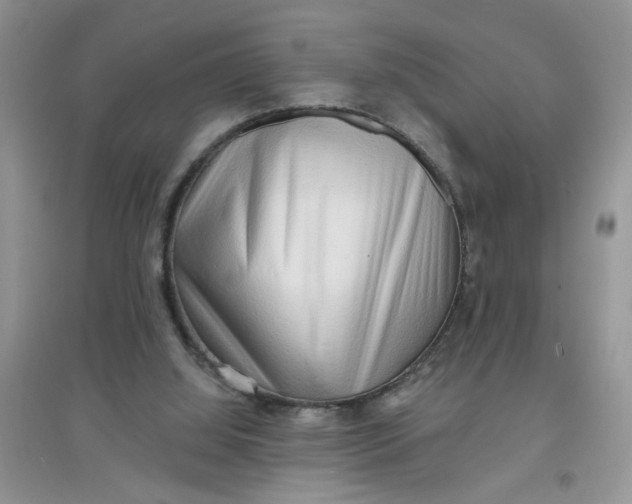 X0000097630060200803142033