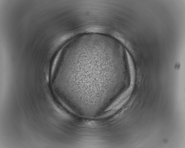 X0000097630062200803142033