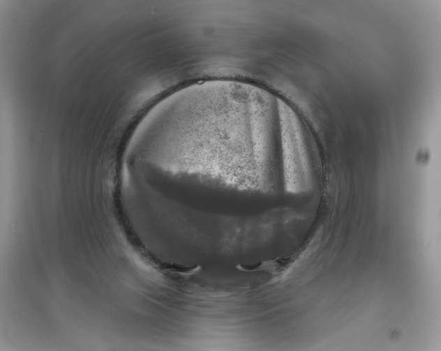 X0000097630063200803142033