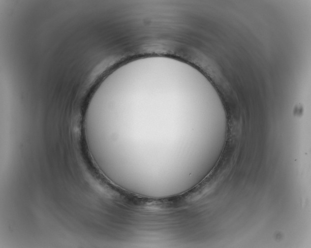 X0000097630064200803142033