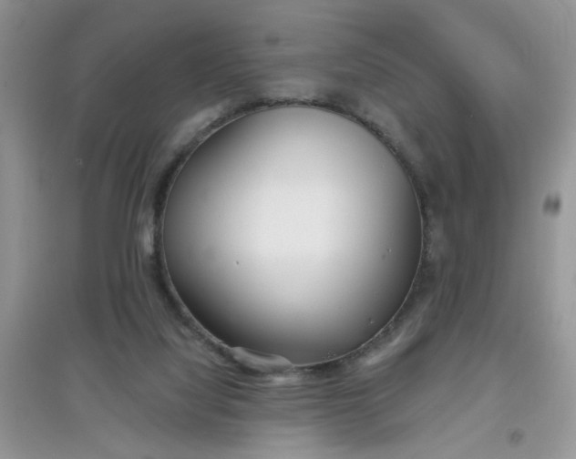 X0000097630068200803142033