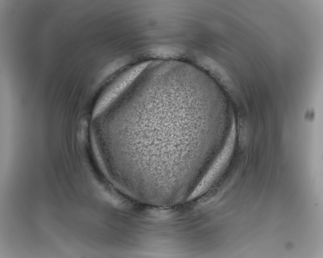 X0000097630071200803142033