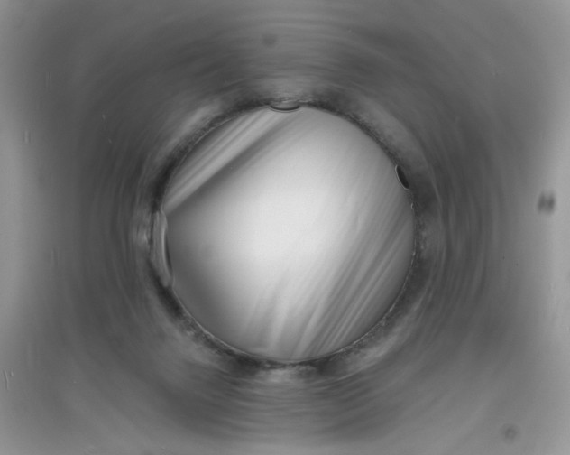 X0000097630072200803142033