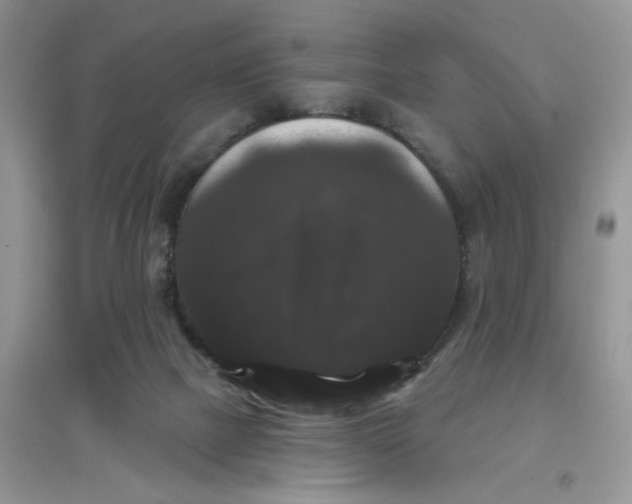 X0000097630073200803142033