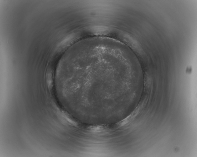 X0000097630074200803142033