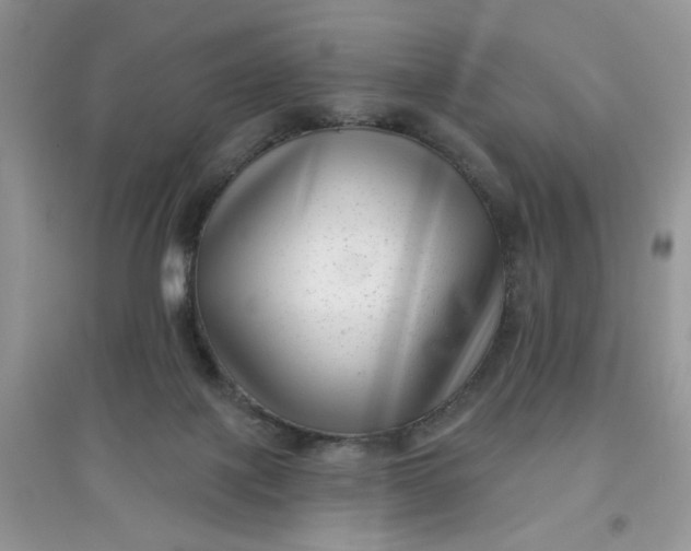 X0000097630075200803142033